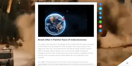 Which 2020 Disaster Are You? gallery image