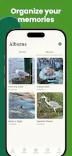 BirdDex gallery image