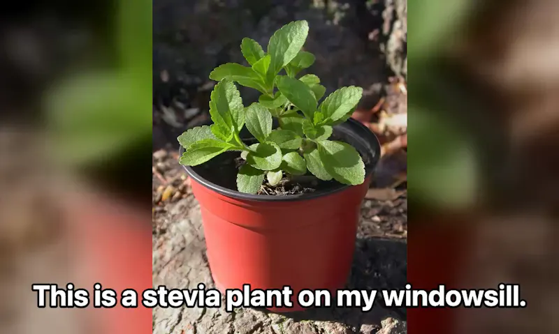Stayput screenshot 9
