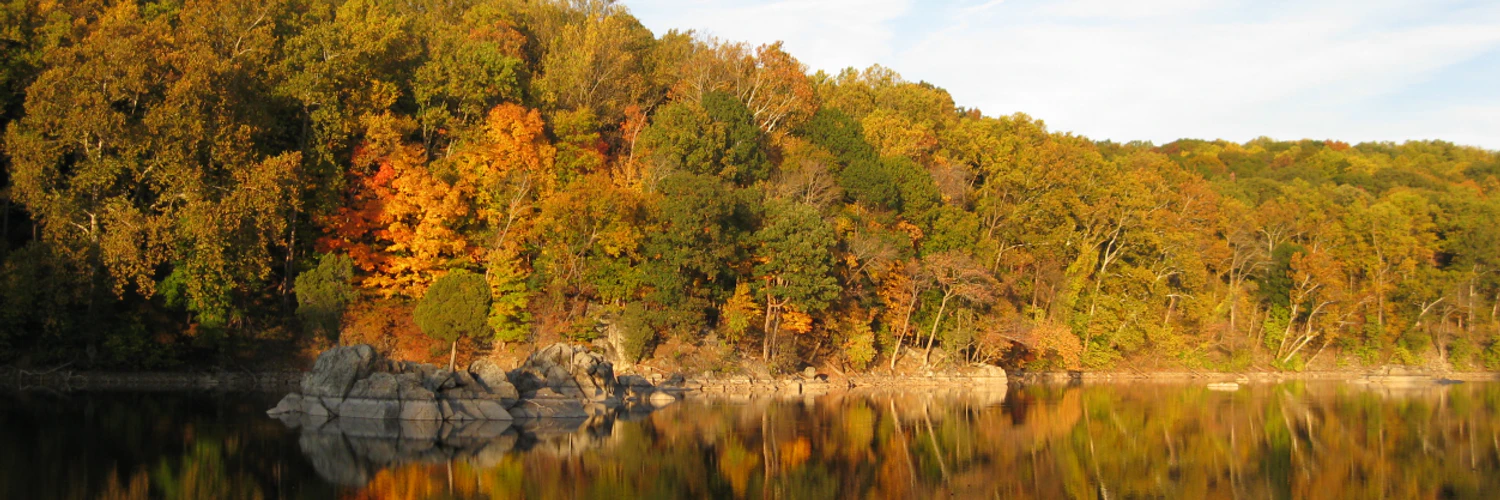 Vladimir Bugay cover