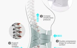 Back Brace for Lower Back Pain media 2