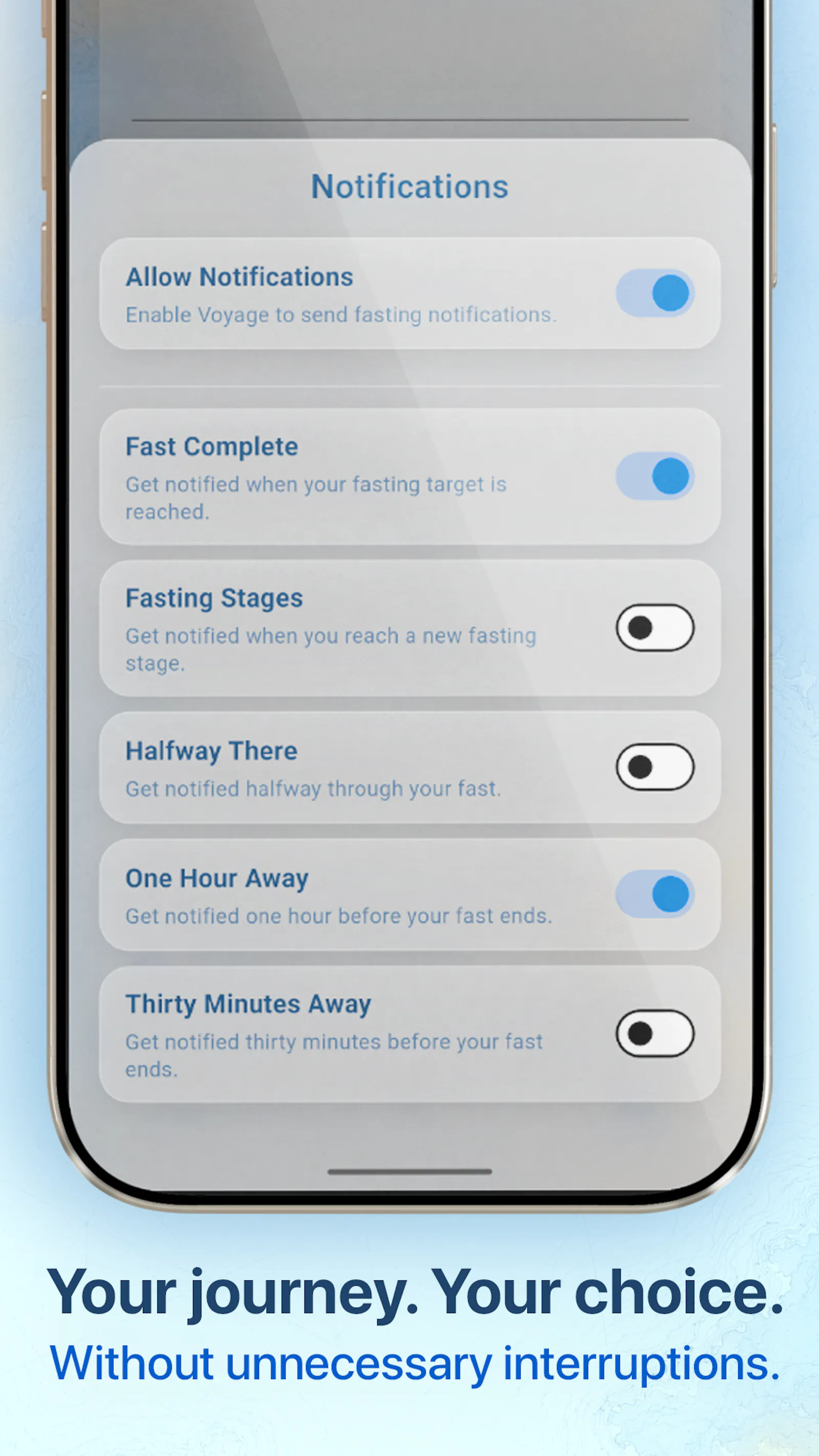 Voyage  screenshot 6