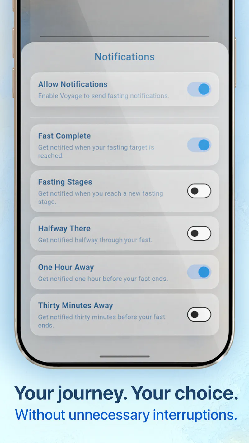 Voyage  screenshot 6