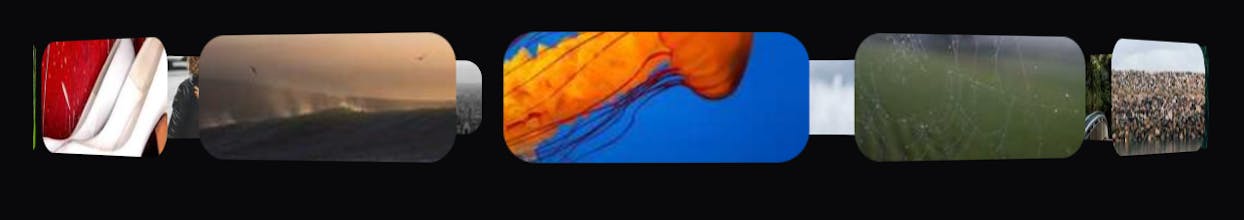 cult / ui gallery image