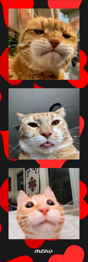 Snappy gallery image