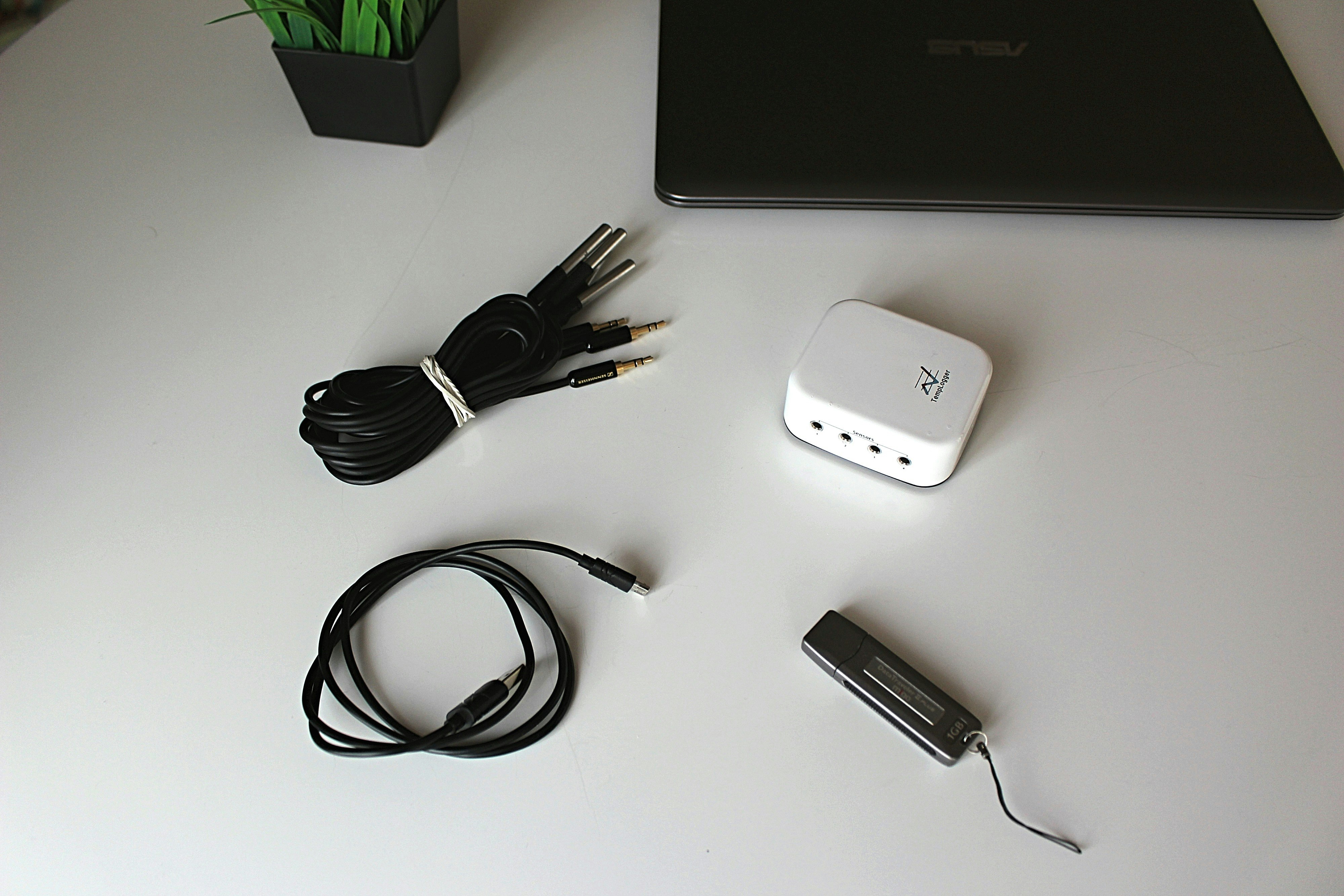 TempLogger gallery image