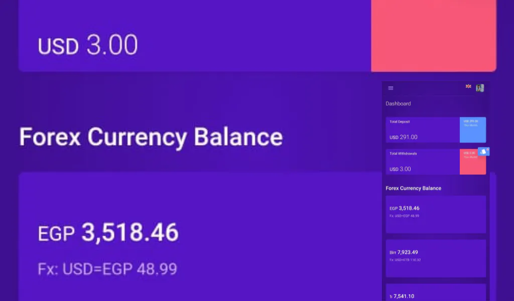 MomoPay Online Bank gallery image