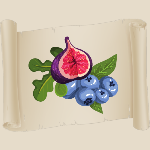 Codeberry Chronicles