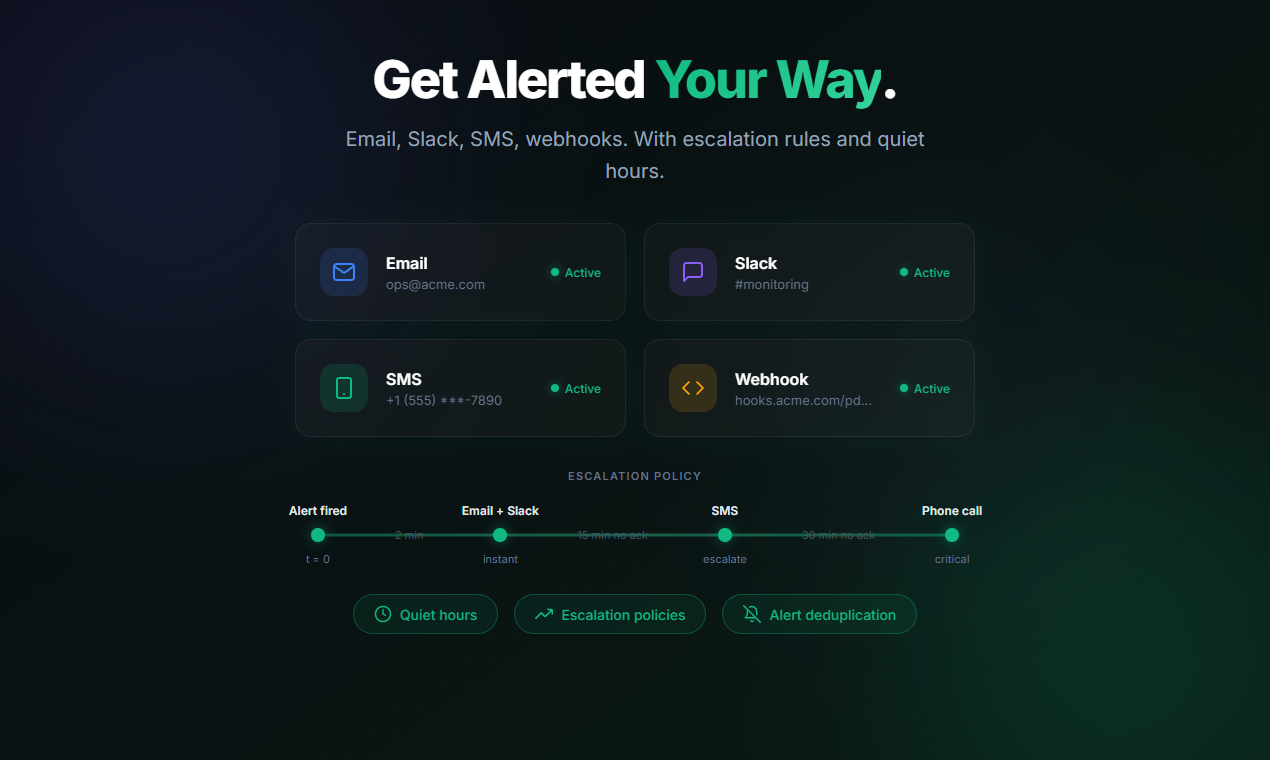 PerkyDash gallery image