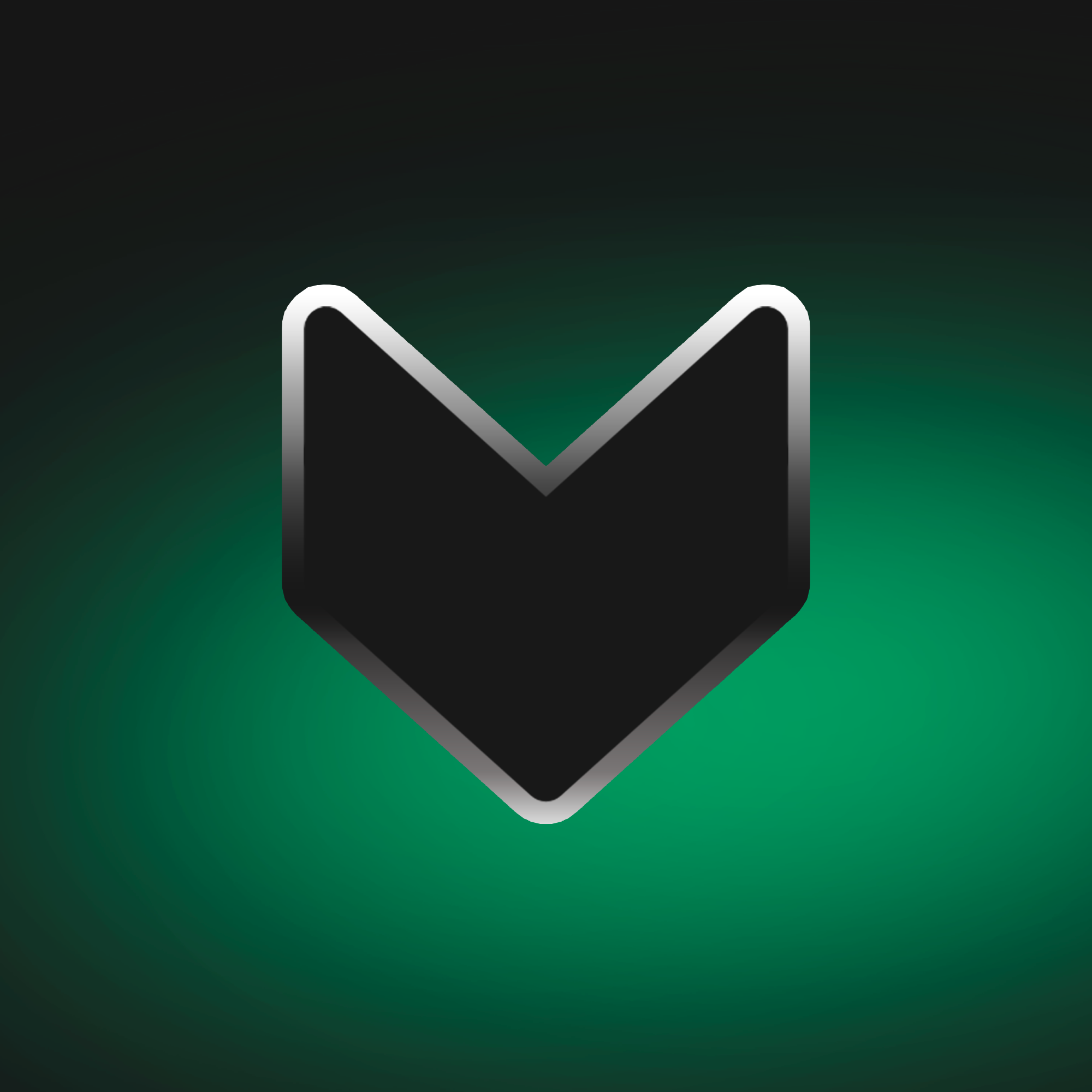 TheDeveloperCourse.com