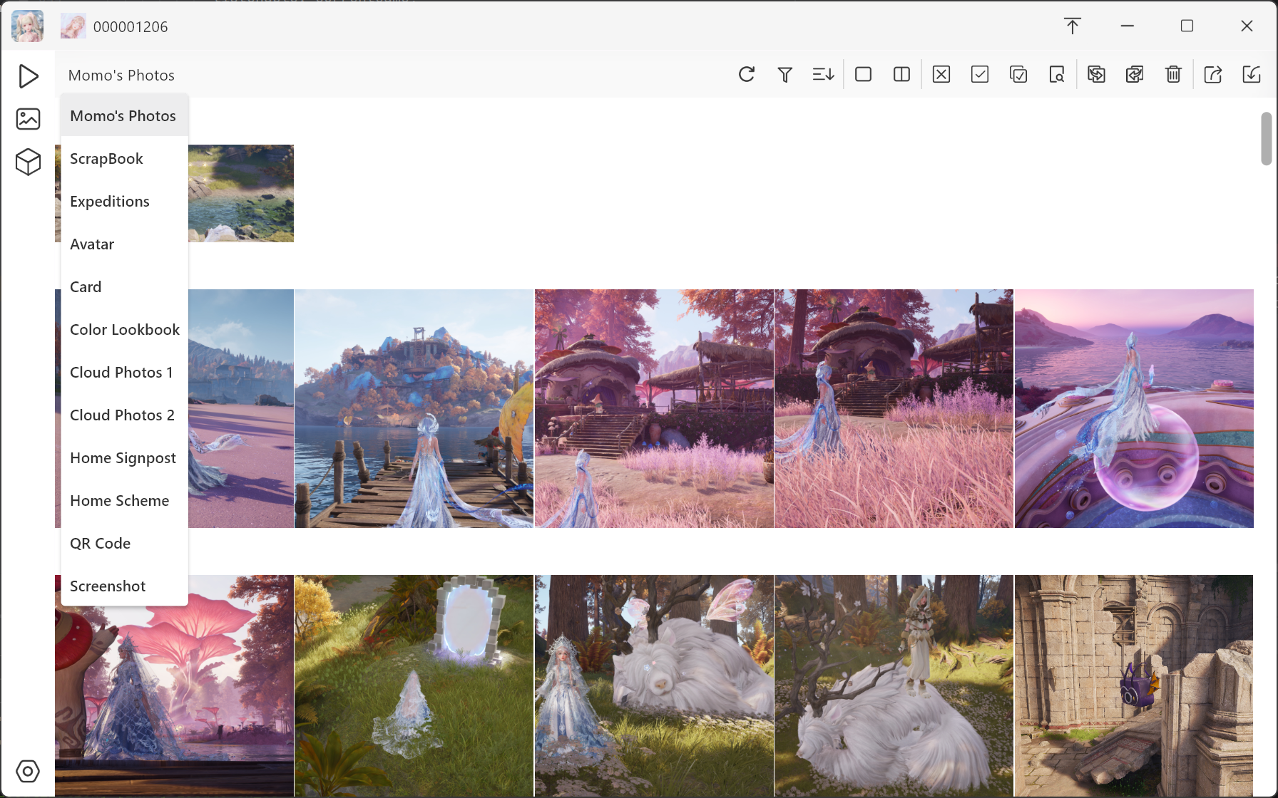 Nikki Albums - Main product screenshot demonstrating key features and user interface