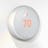 Nest Thermostat E