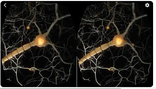 Random42 VR gallery image