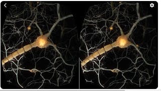 Random42 VR gallery image