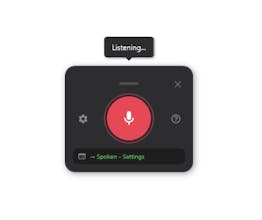 Spoken gallery image