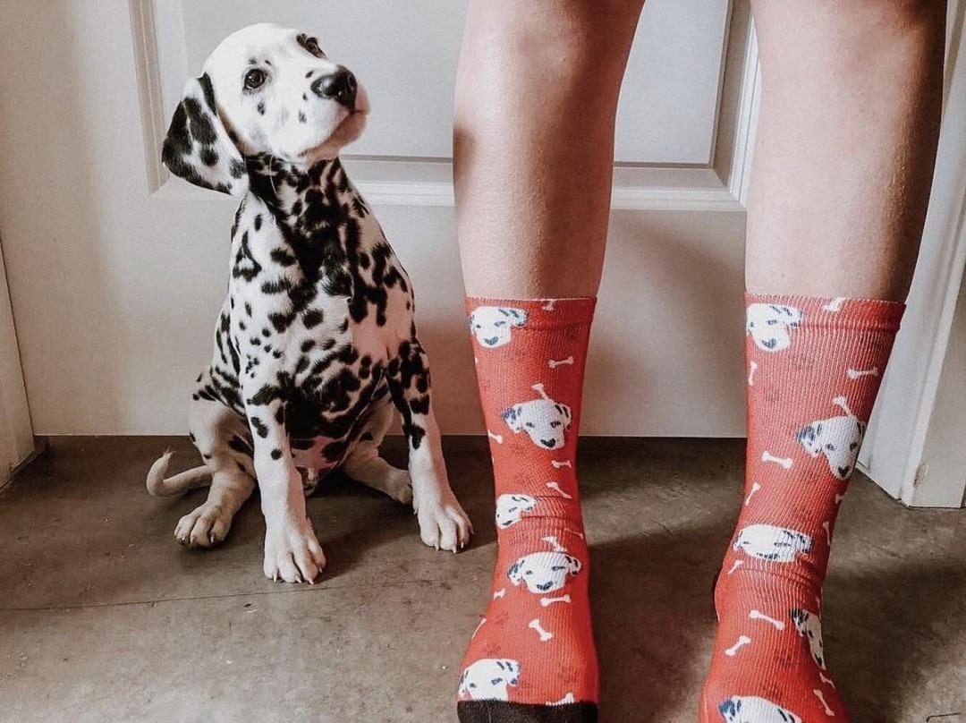 Custom Face Socks - Pup Socks gallery image