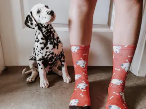 Custom Face Socks - Pup Socks gallery image