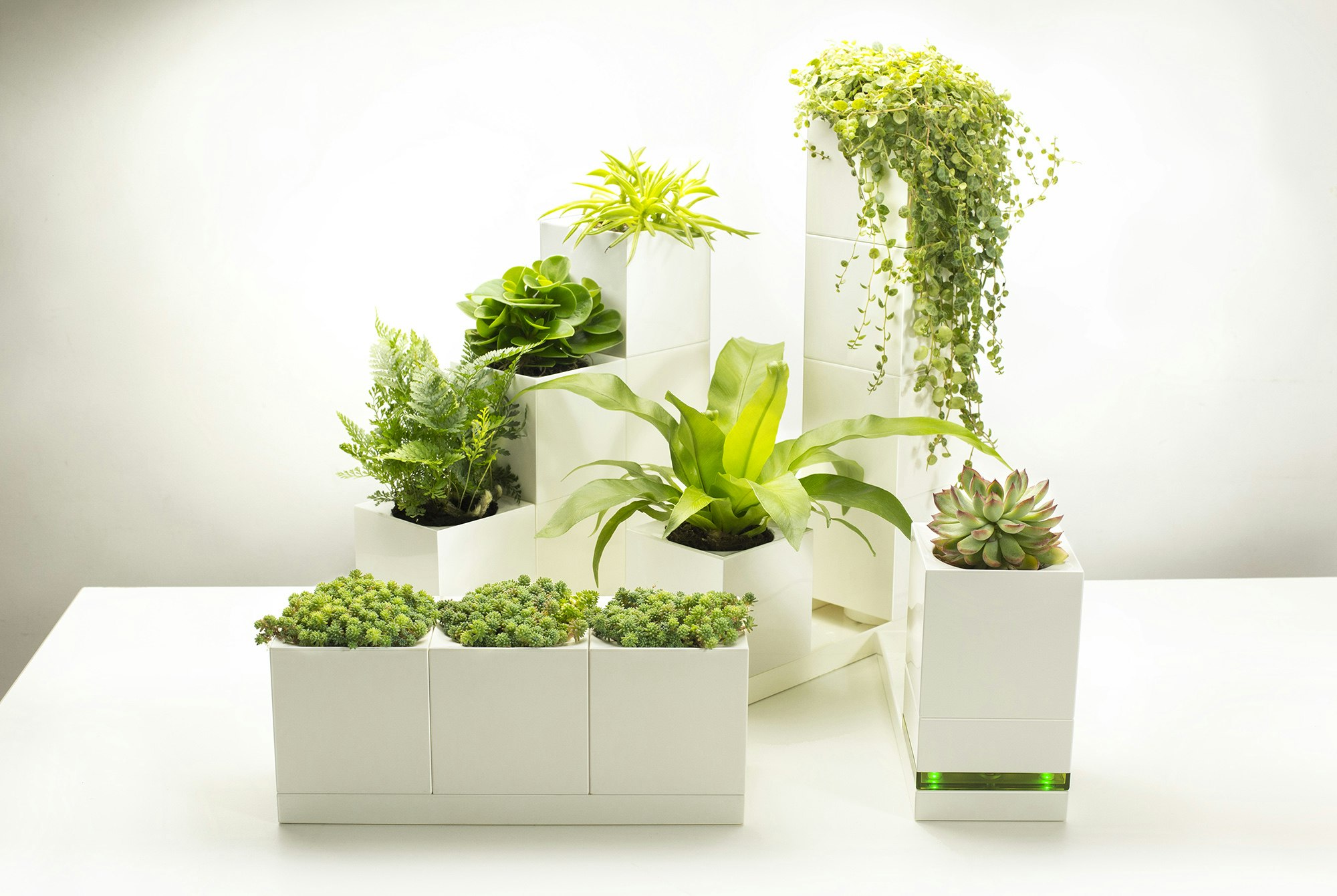 LeGrow gallery image