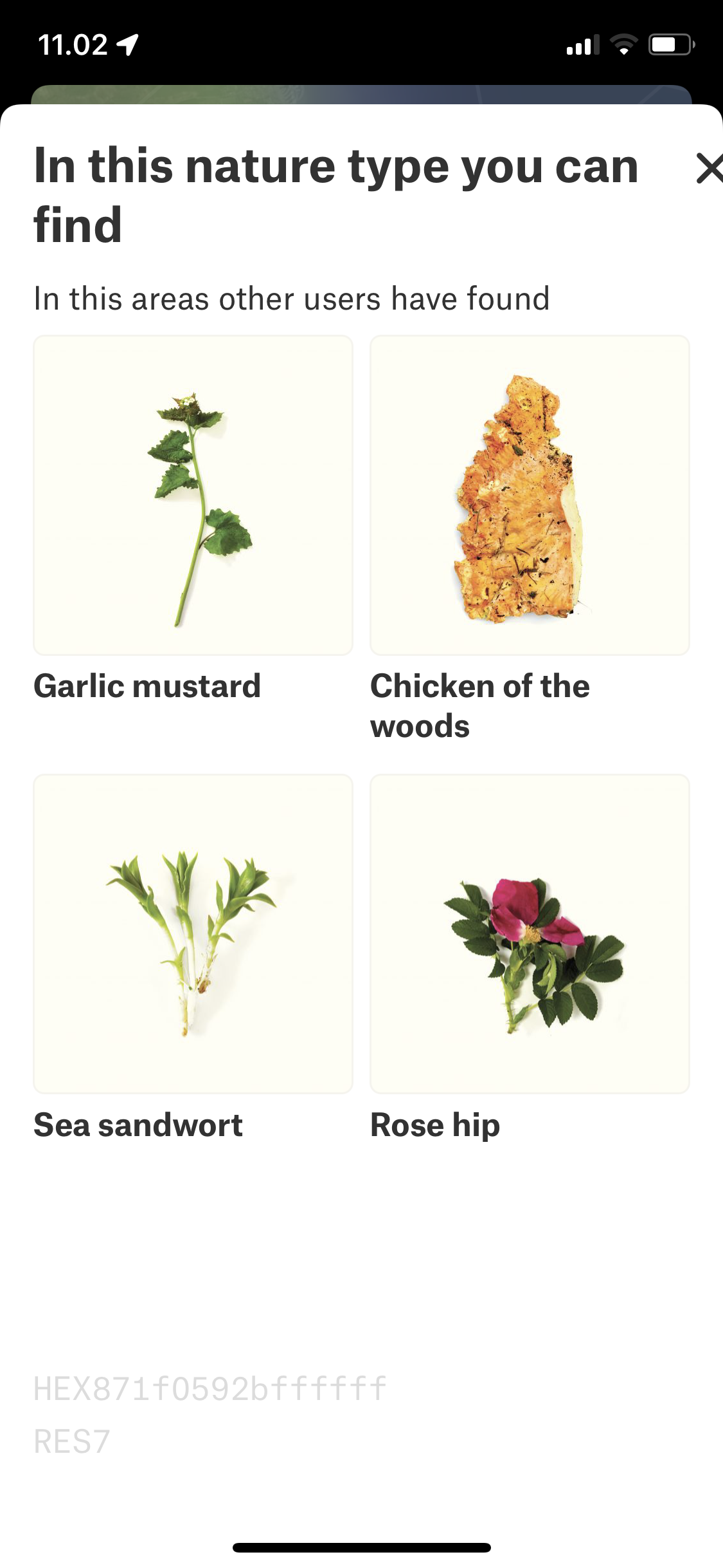 VILD MAD gallery image