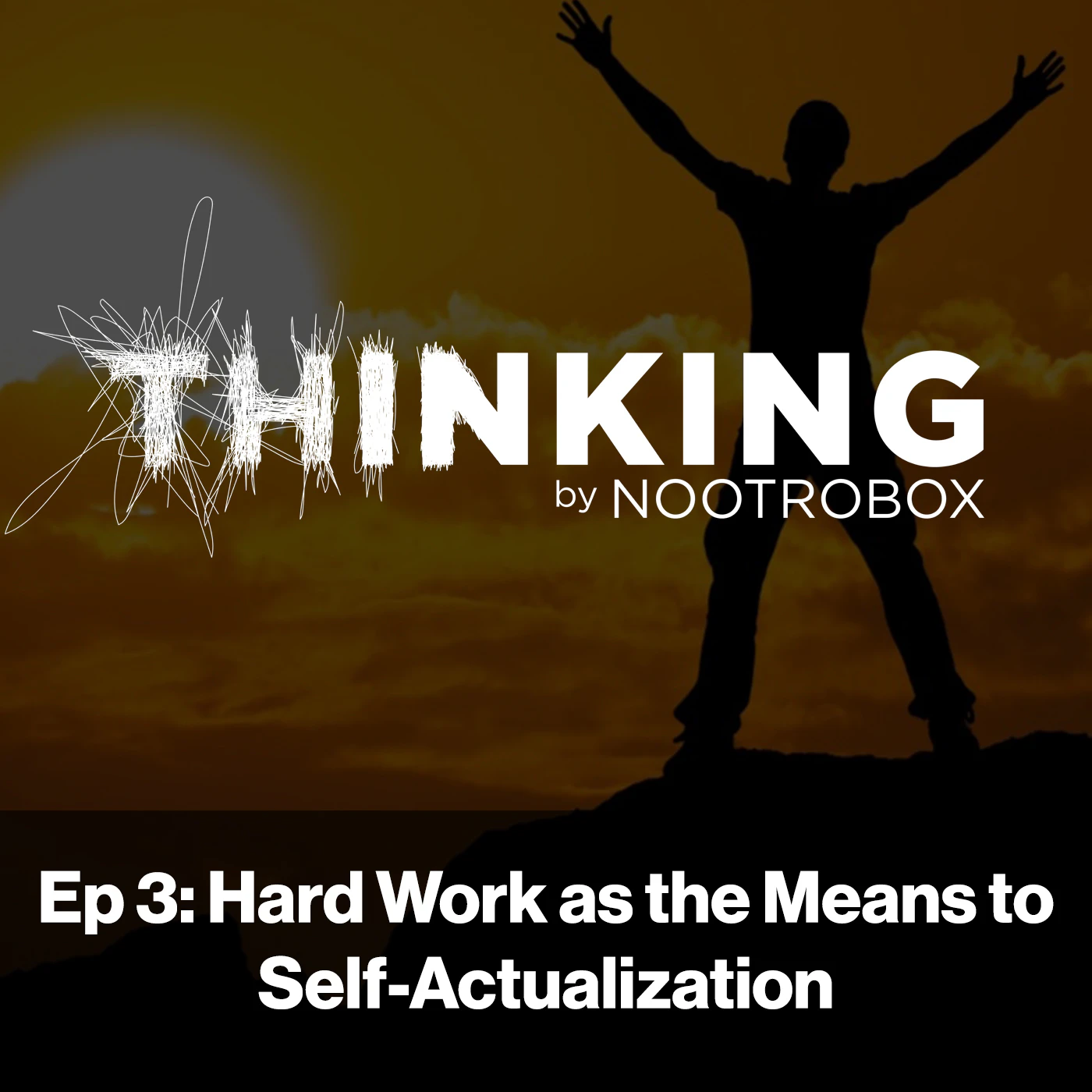 Thinking Podcast: Ep 3 - Hard Work As The Means To Self-Actualization