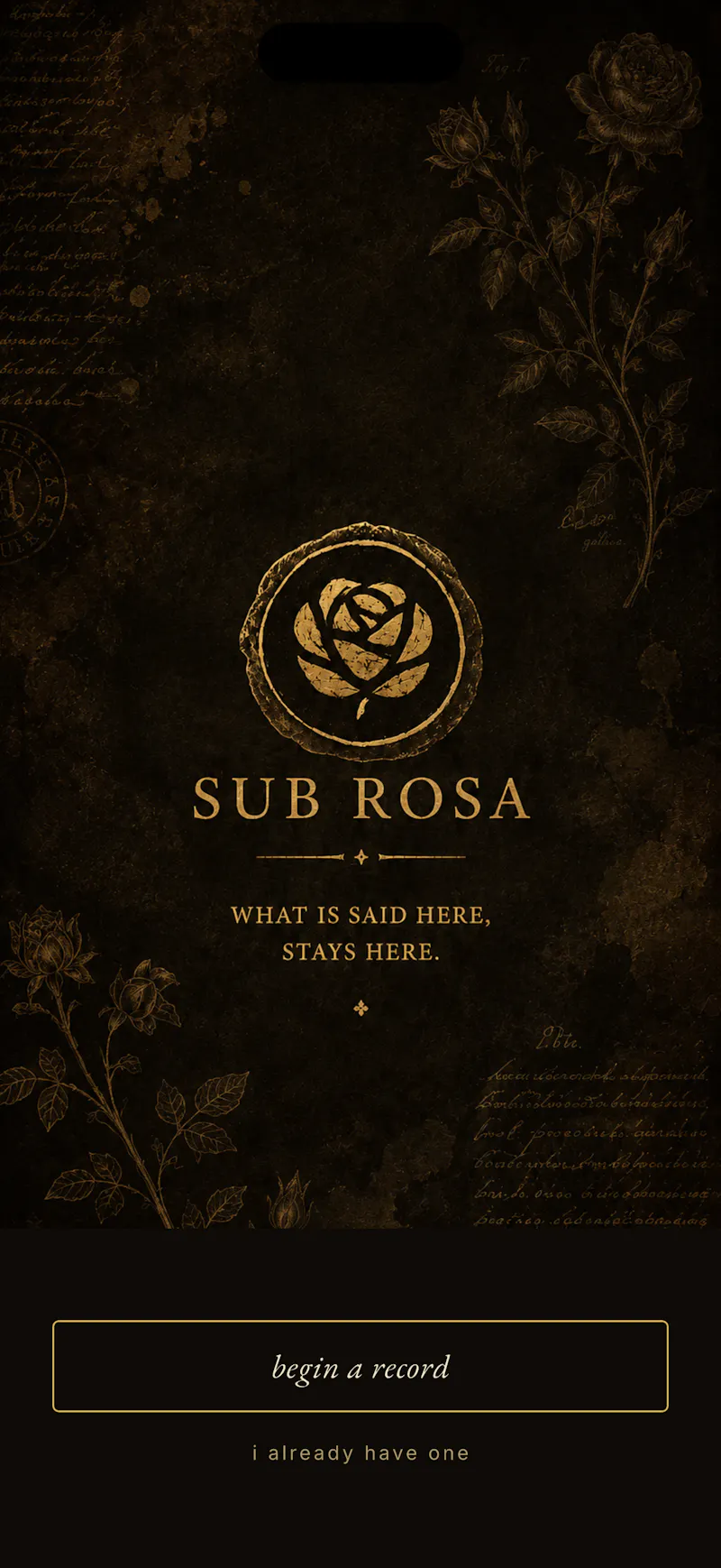 Sub Rosa screenshot 3