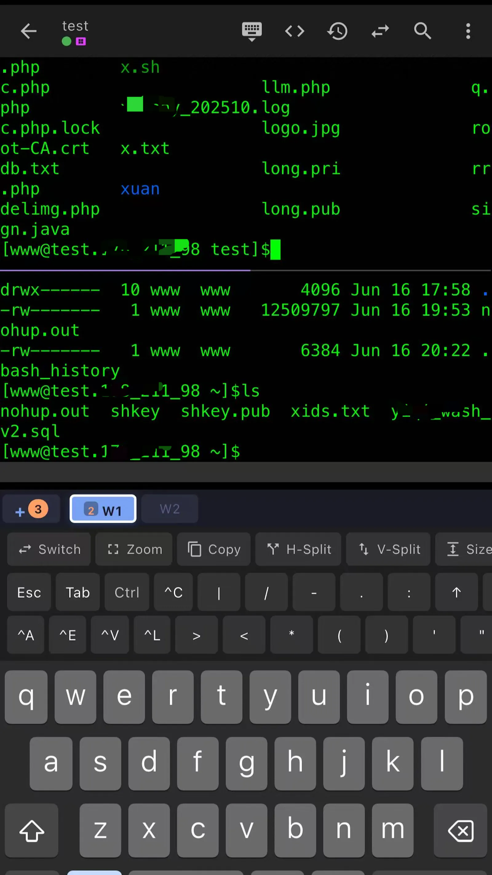 XuTerm screenshot 5