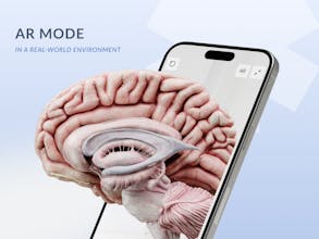 VOKA Anatomy Pro gallery image