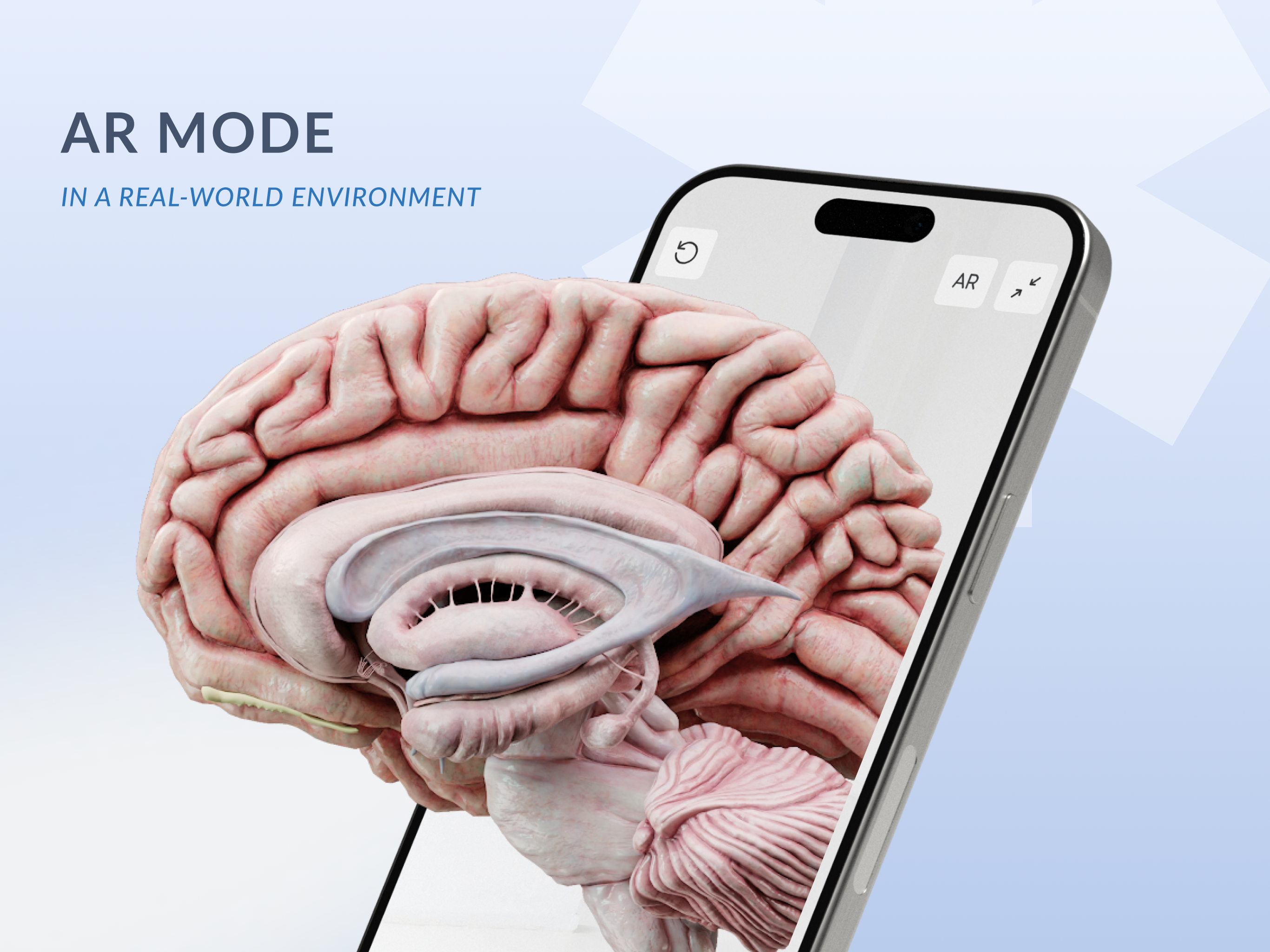 Media Voca Anatomy Pro 9
