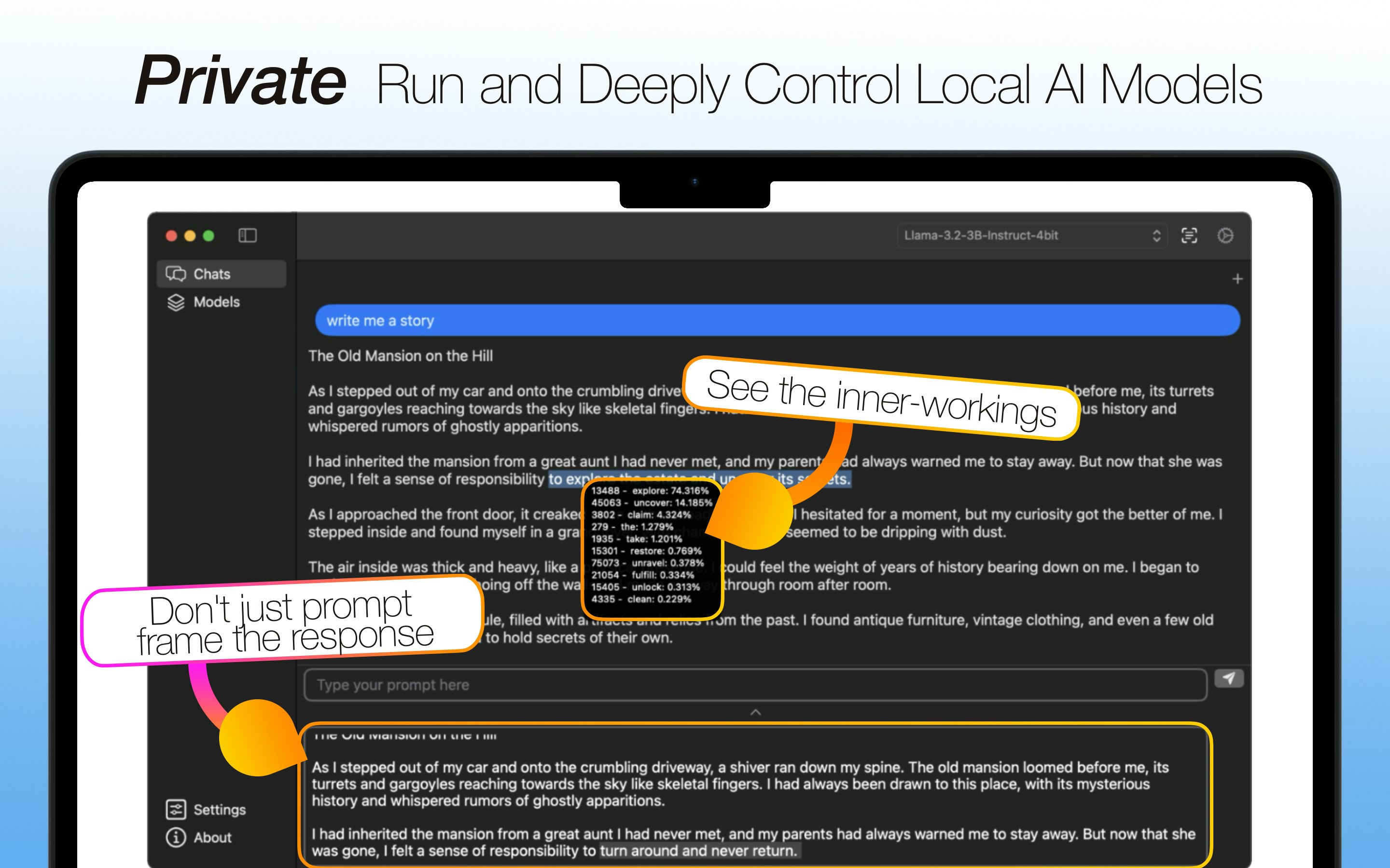 Infere - Eseguire e controllare profondamente i modelli di intelligenza artificiale locale media 2