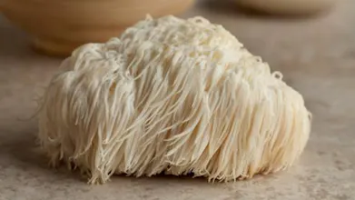 Lion's Mane Mushroom gallery image