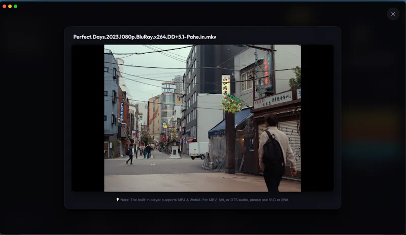 DrivePlayer screenshot 4