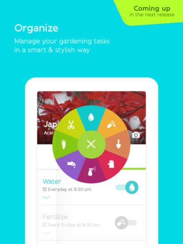 Gardenia gallery image