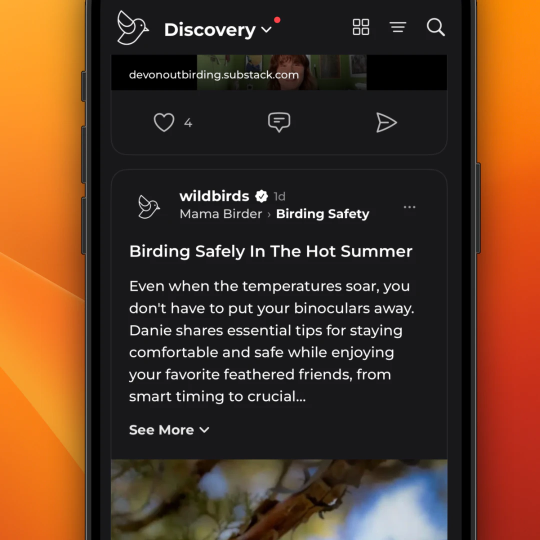 wildbirds 截图 3