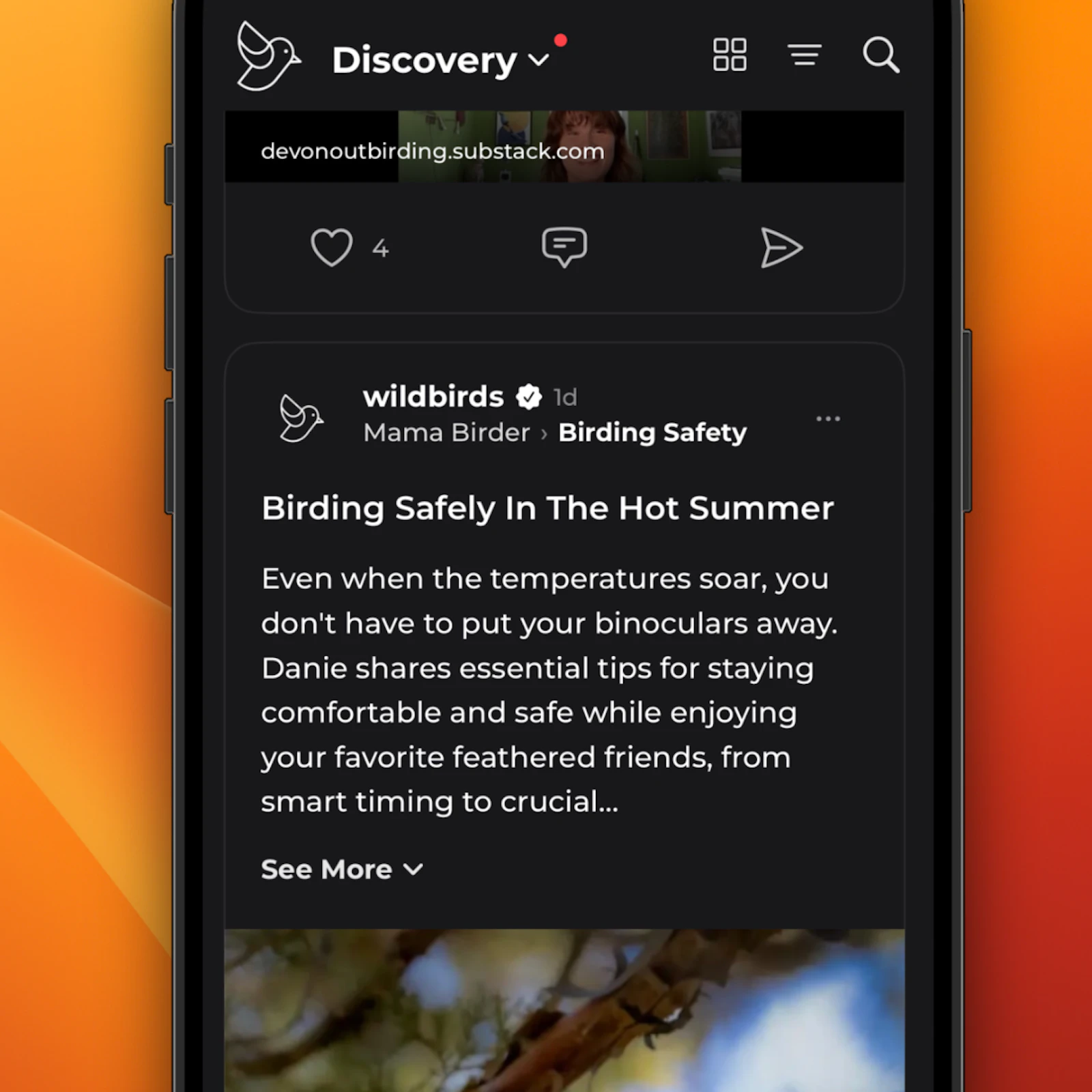 wildbirds screenshot 3