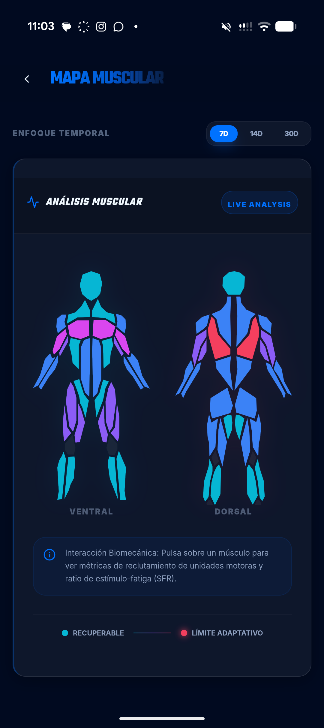 Thorax gallery image
