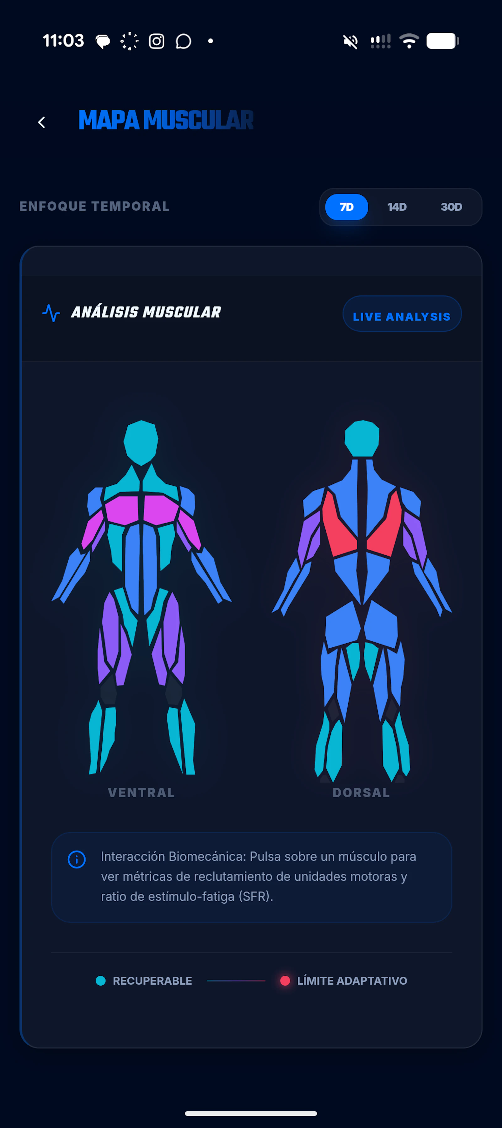 Thorax screenshot 5