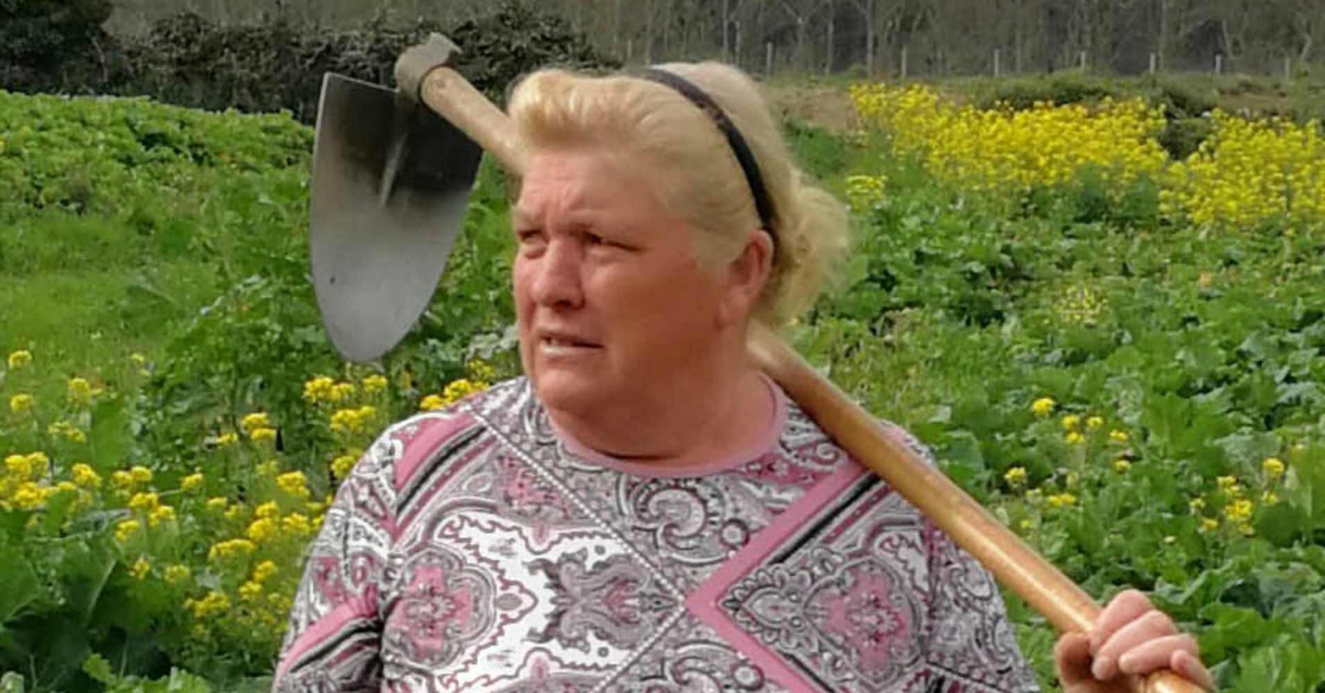 BestinX gallery image