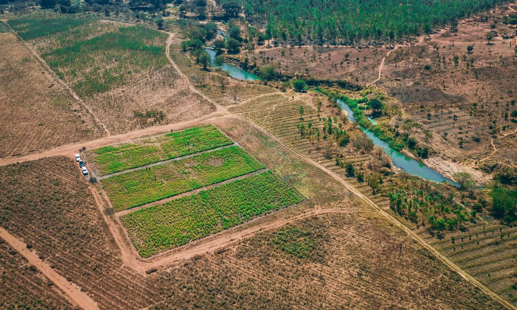 Yamba Moringa gallery image