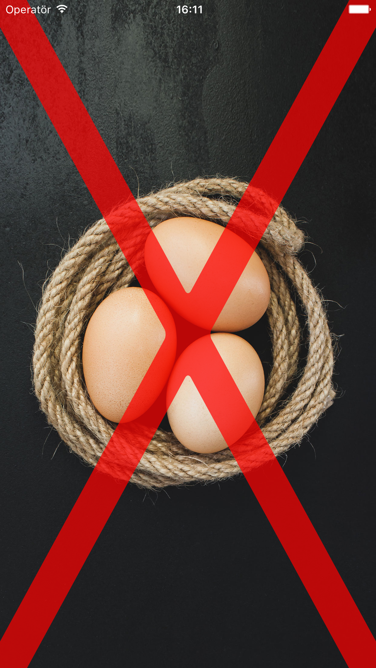 Allergic Traveler gallery image