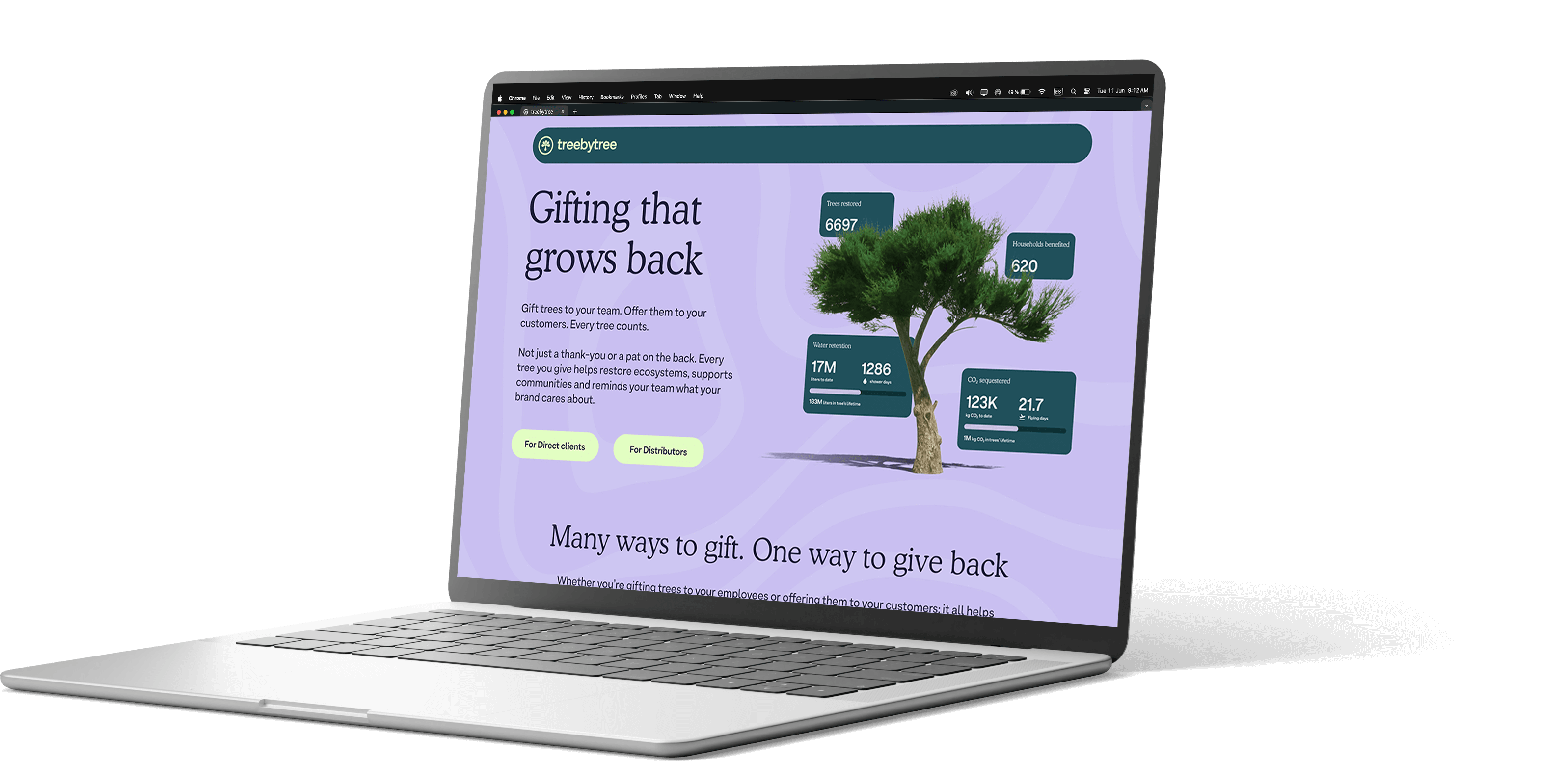 Média StepBytree - Offrez un arbre.Cultiver une forêt.Faire un impact. 2