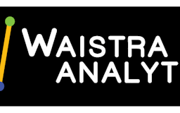 Waistra Analytics media 2