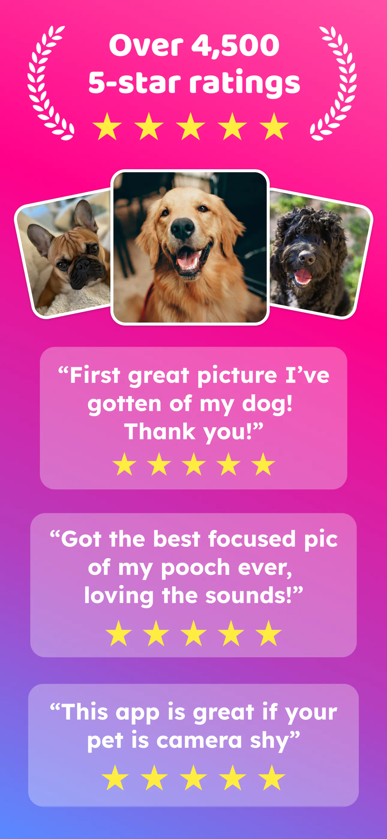 DogCam - Dog Selfie Camera gallery image