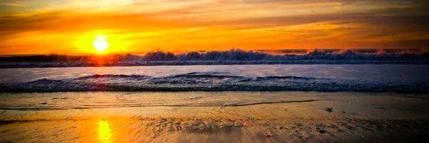 Freddy Lundekvam cover