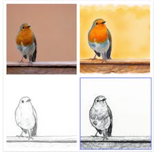 Picture to Drawing--100% Free No Sign Up gallery image