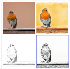 Picture to Drawing--100% Free No Sign Up gallery image