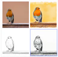 Picture to Drawing--100% Free No Sign Up