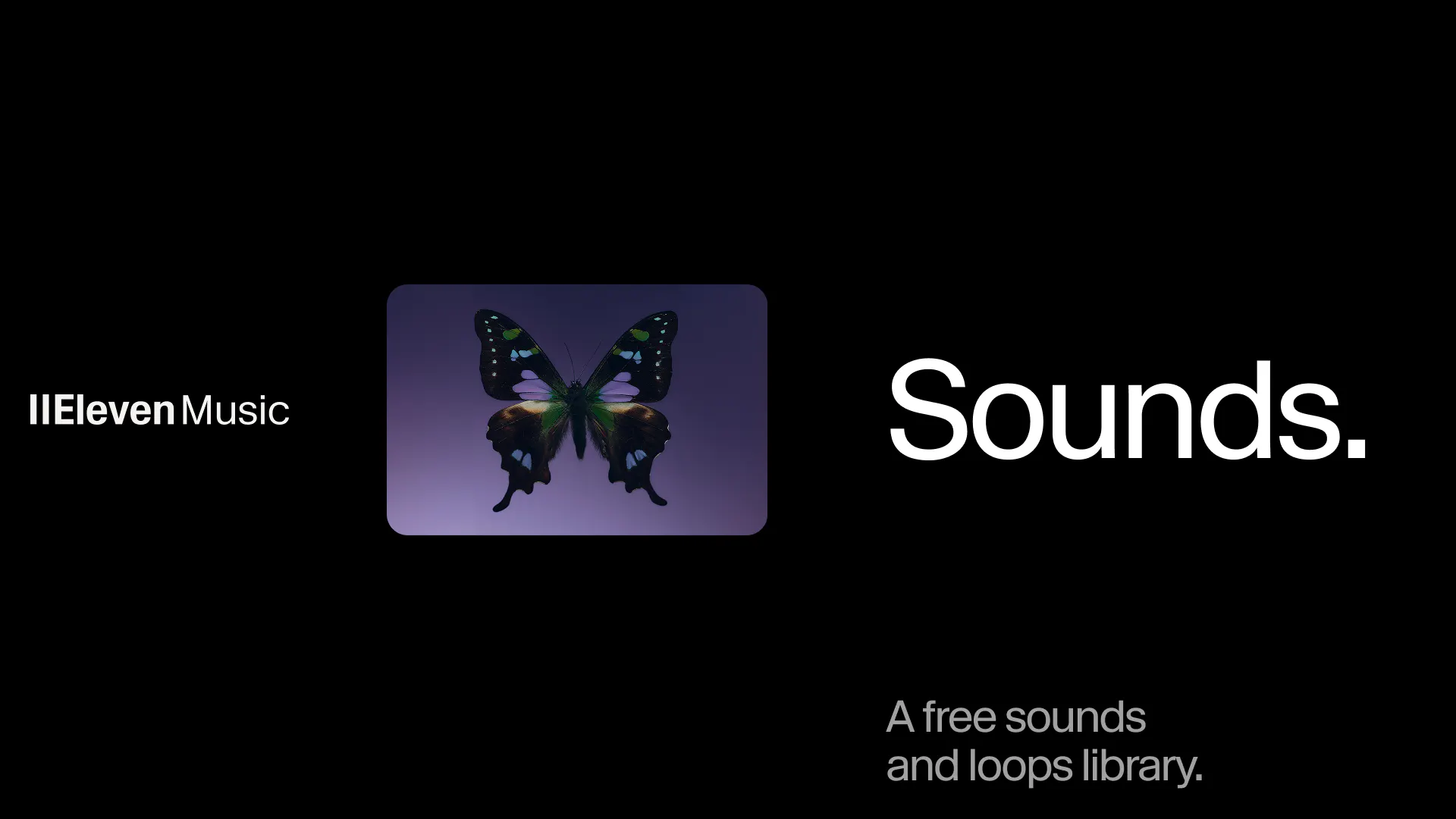 ElevenMusic: Sounds gallery image