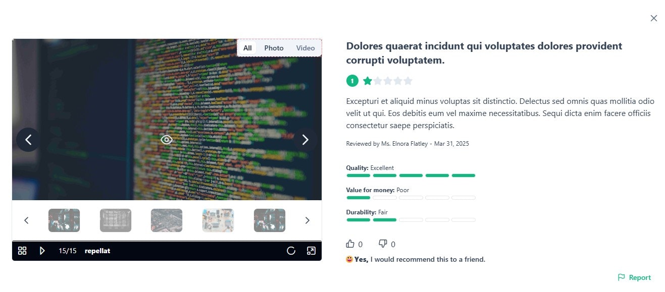 TrueReviewer  gallery image
