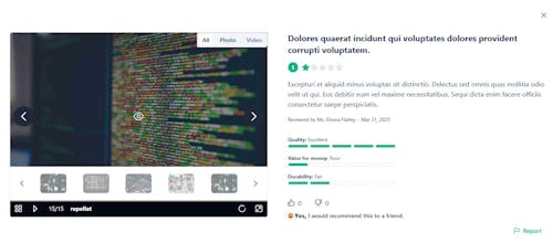 TrueReviewer gallery image