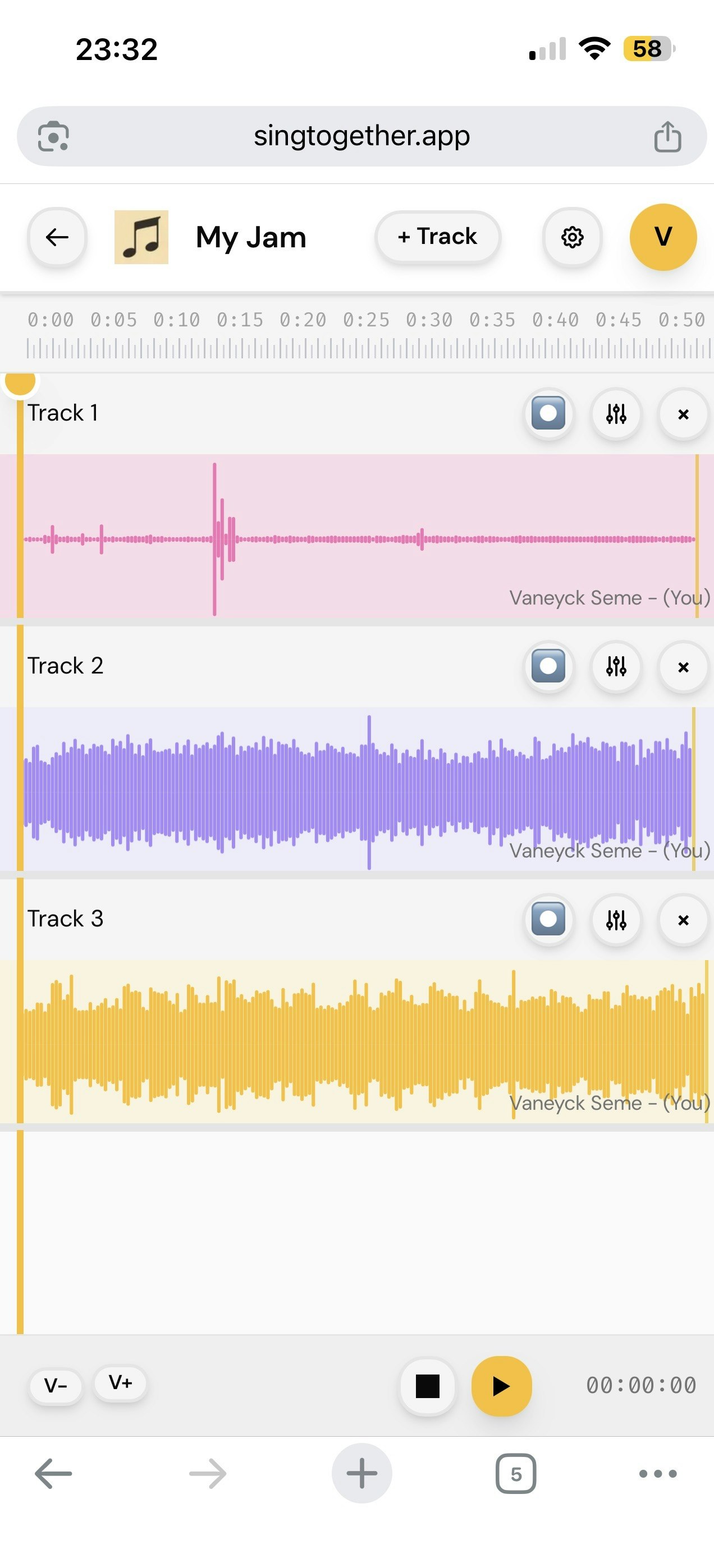 SingTogether - Screenshot 3 showing product features and functionality